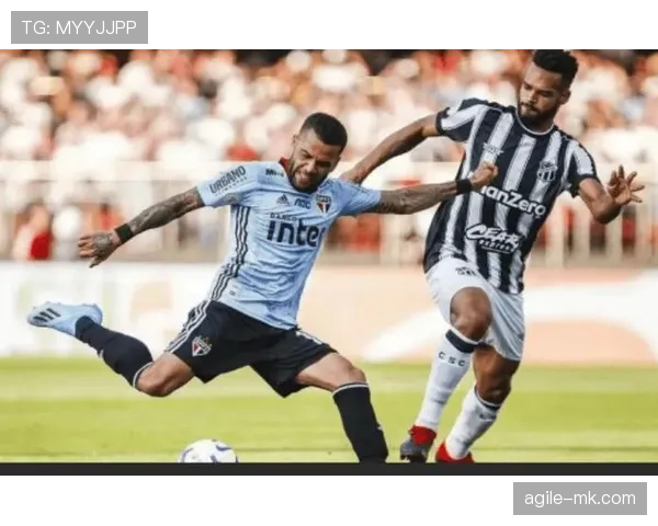 南美足坛变革：传统劲旅争锋与新势力迅速崛起